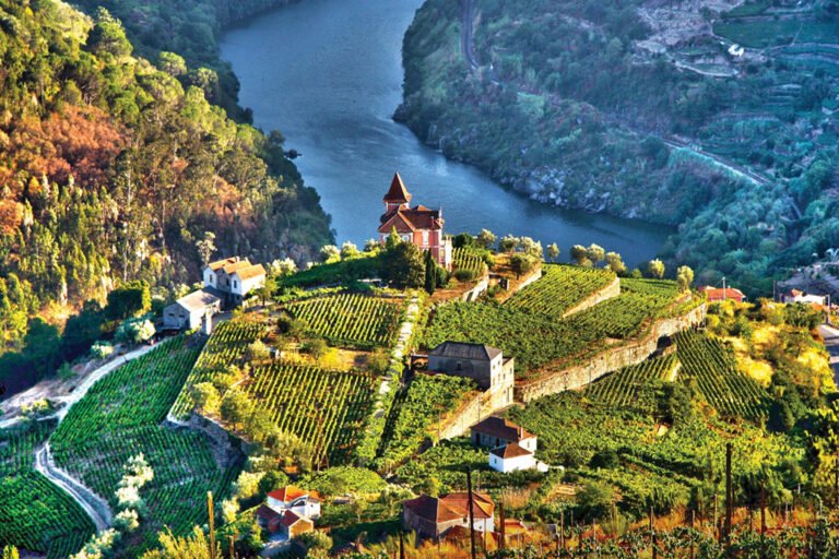 Douro Valley – One of the Most Famous Destinations in Portugal