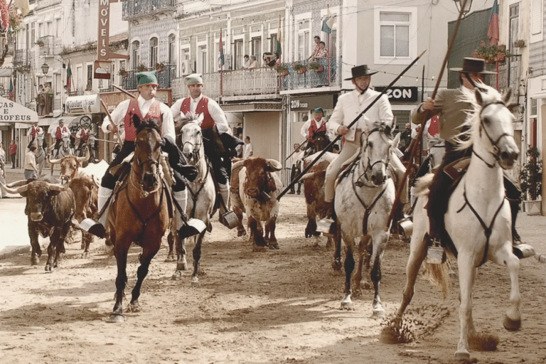 Festa do Colete Encarnado is a traditional festival in Portugal